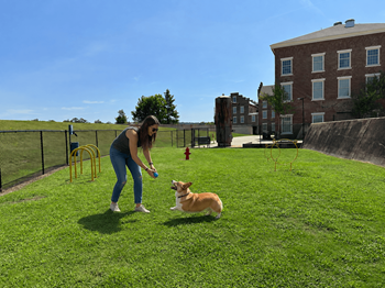 Pet park